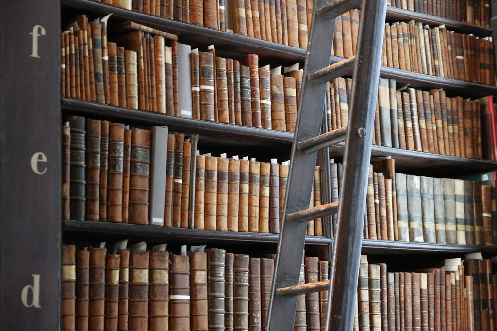 Ladder and books by Marco Zanferrari is licensed under CC BY-SA 2.0